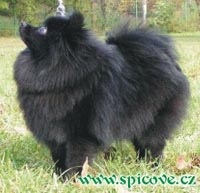 Copyright: spicove.cz