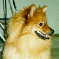 Tempore Bj�rn Borg